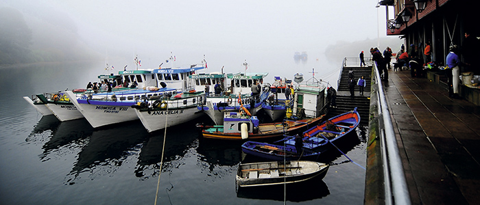 Chileno presidirá la organización regional de pesca